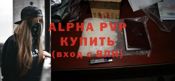 твердый Богданович