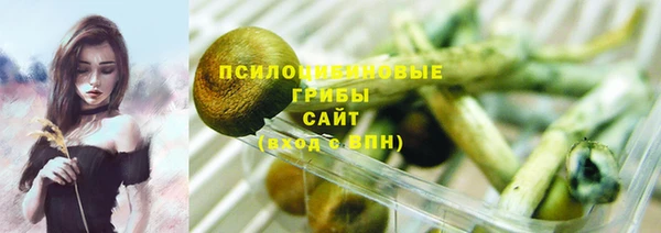 винт Верхний Тагил