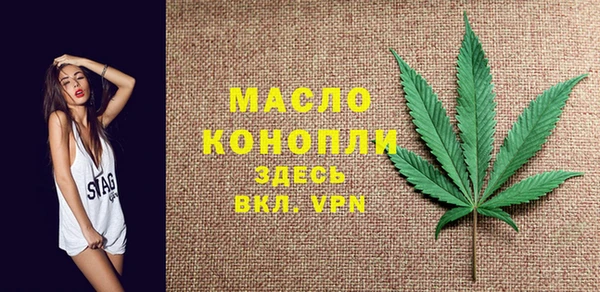 твердый Богданович