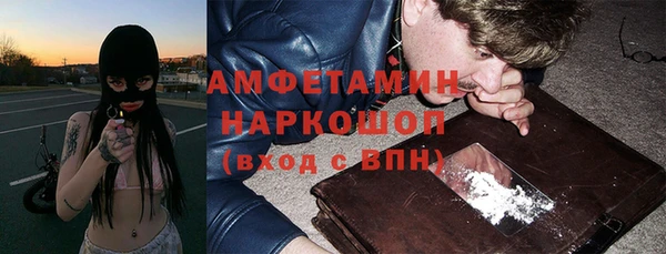 spice Богородск