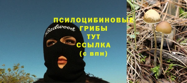 spice Богородск