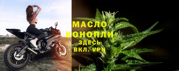 твердый Богданович