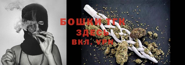 твердый Богданович